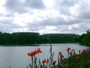 Attached Image: mineirao1.jpg