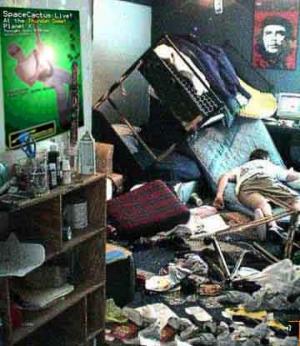 Attached Image: wild_party.jpg