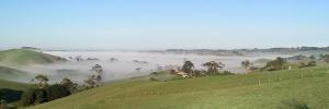 Attached Image: South_Gippsland_Hills_Victoria_Austrailia_In_Morning_Mist.jpg