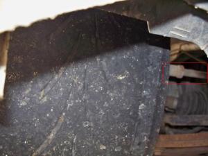 Attached Image: picture003ivy.jpg