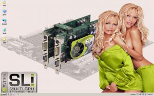 Attached Image: 7_15_07.jpg