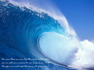Attached Image: Wave.jpg