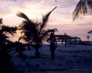 Attached Image: sreenshot64.jpg