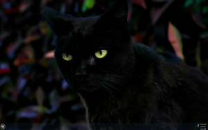 Attached Image: fall_sept.png