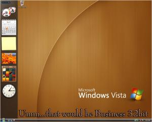 Attached Image: Vista_Business_Shot.JPG