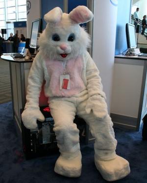 Attached Image: bunnytwo.jpg