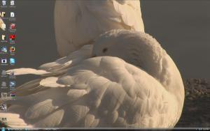 Attached Image: march1.jpg