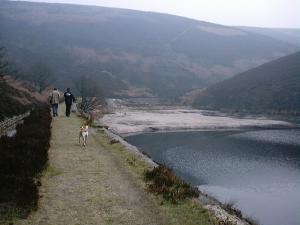 Attached Image: Me_and_monica_and_dog.jpg