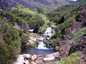 Attached Image: Picture_012.jpg