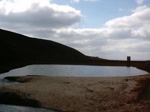 Attached Image: Img02_0012.jpg