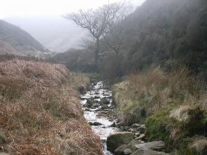 Attached Image: river__n__sides_.jpg