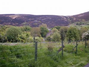 Attached Image: Walk_0012.jpg