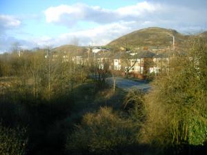 Attached Image: 1.JPG