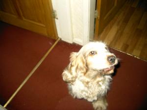 Attached Image: 3.JPG