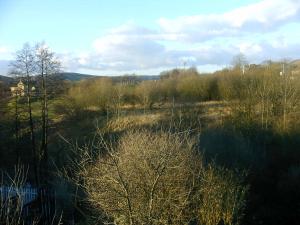 Attached Image: IMAG0001.JPG