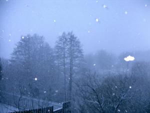 Attached Image: IMAG0003.JPG