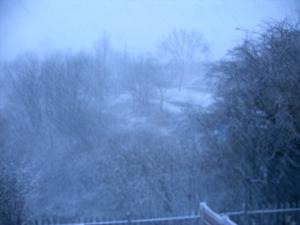 Attached Image: IMAG0005.JPG