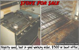 Attached Image: 1_498.jpg