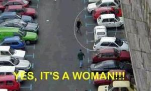 Attached Image: untitled7.JPG