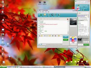 Attached Image: Braile.JPG