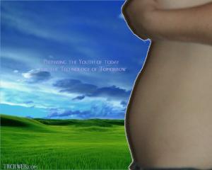 Attached Image: rev1.jpg