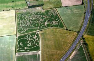 Attached Image: genImage.jpg