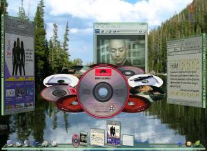 Attached Image: ss12.jpg