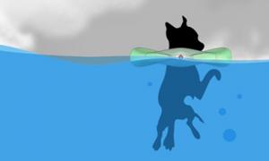 Attached Image: 2bluedetal.jpg