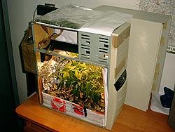 Attached Image: potintapc.jpg