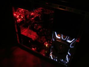 Attached Image: spidercase5.jpg